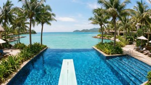 Tropical Paradise Dive