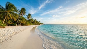Tropical Paradise Panorama