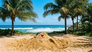 Tropical Paradise Sandbox