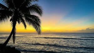 Tropical Paradise Sunset