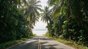 Tropical Road to Beach