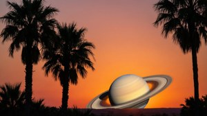 Tropical Saturn Sunset