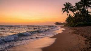 Tropical Sunset Beach