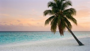 Tropical Sunset Beach