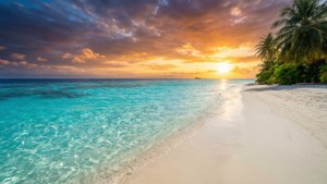 Tropical Sunset Bliss