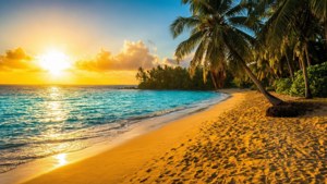 Tropical Sunset