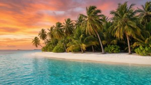 Tropical Sunset Paradise