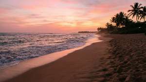 Tropical Sunset Serenity