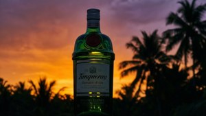 Tropical Sunset Silhouette