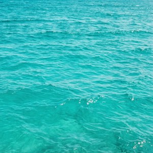 Tropical Teal
