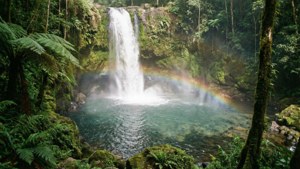 Tropical Waterfall Rainbow