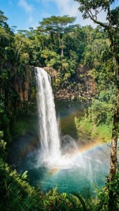 Tropical Waterfall Rainbow