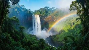 Tropical Waterfall Rainbow