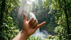 Tropical Waterfall Shaka