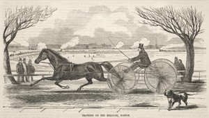 Trotting on the Mill Dam, Boston