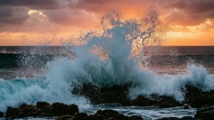 True Ocean Wave