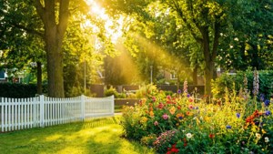 Tuindorp Garden Glow