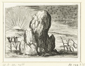 Tulpen en de zon