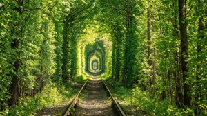 Tunnel of Love