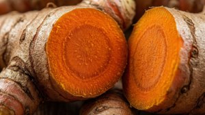 Turmeric Root Cross-Section