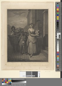 Turnips & Carrots, Ho (Plate 13)