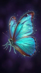 Turquoise Glowing Butterfly
