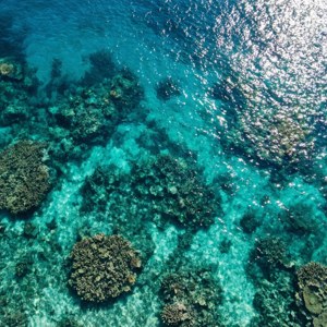 Turquoise Reef Aerial