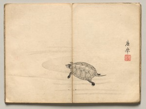 Turtle from Ōkyo Picture Book