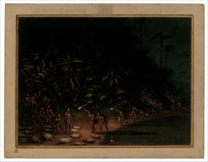 Turtle Hunt