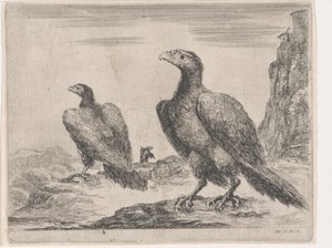 Twee adelaars met de koppen naar links