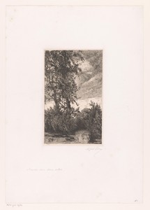 Twee bomen aan het water