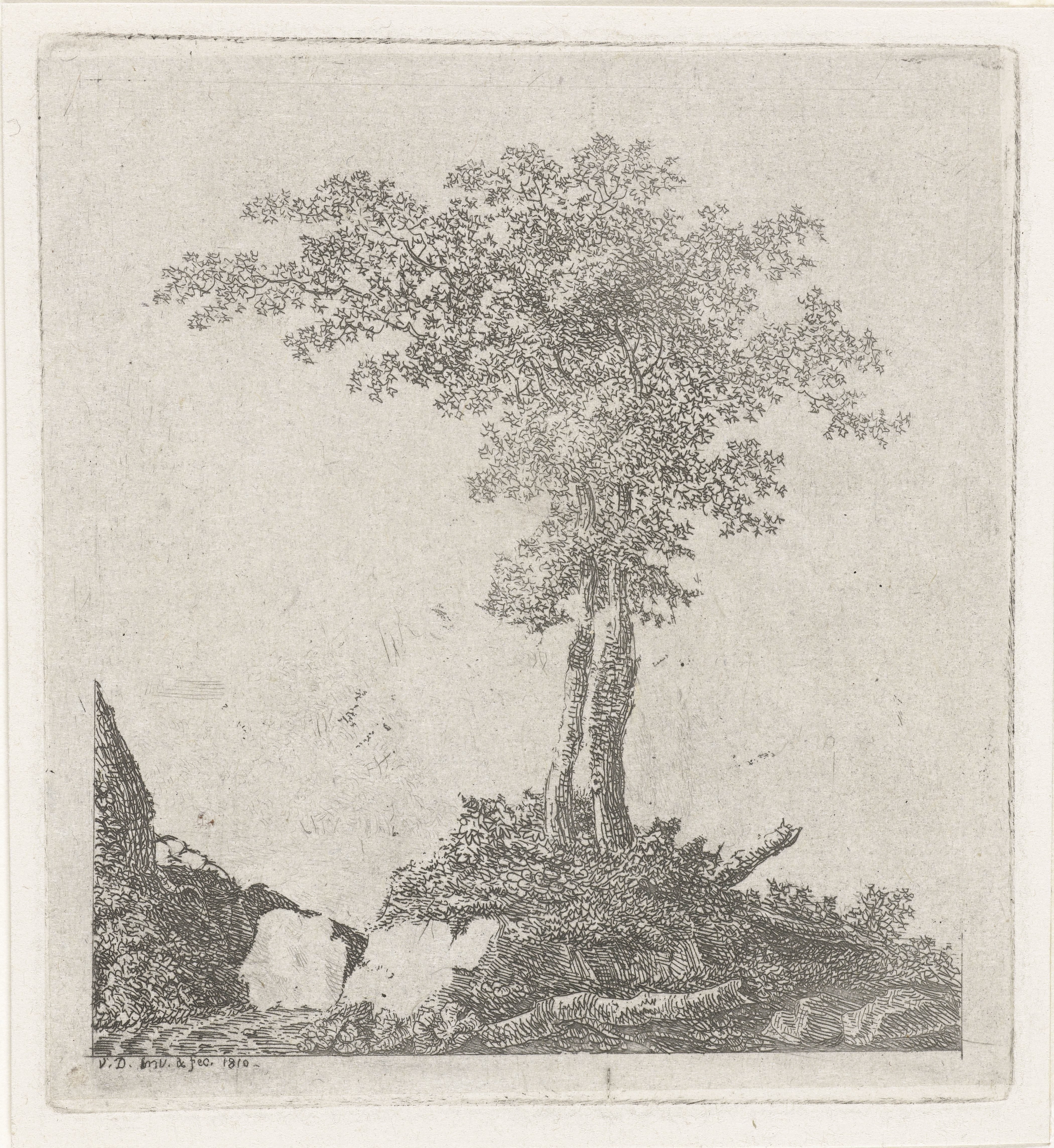 Twee bomen by Adriaan Jacob Willem van Dielen