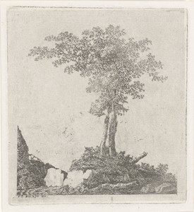 Twee bomen