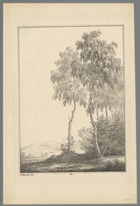 Twee bomen in een berglandschap