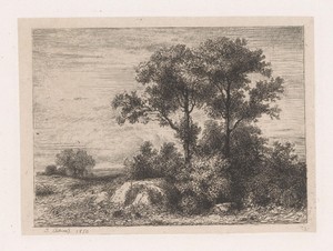 Twee bomen in het struikgewas