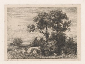 Twee bomen in het struikgewas