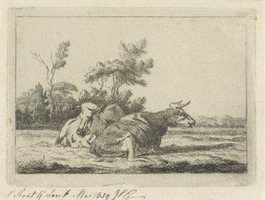 Twee bonte koeien liggend voor een groepje bomen