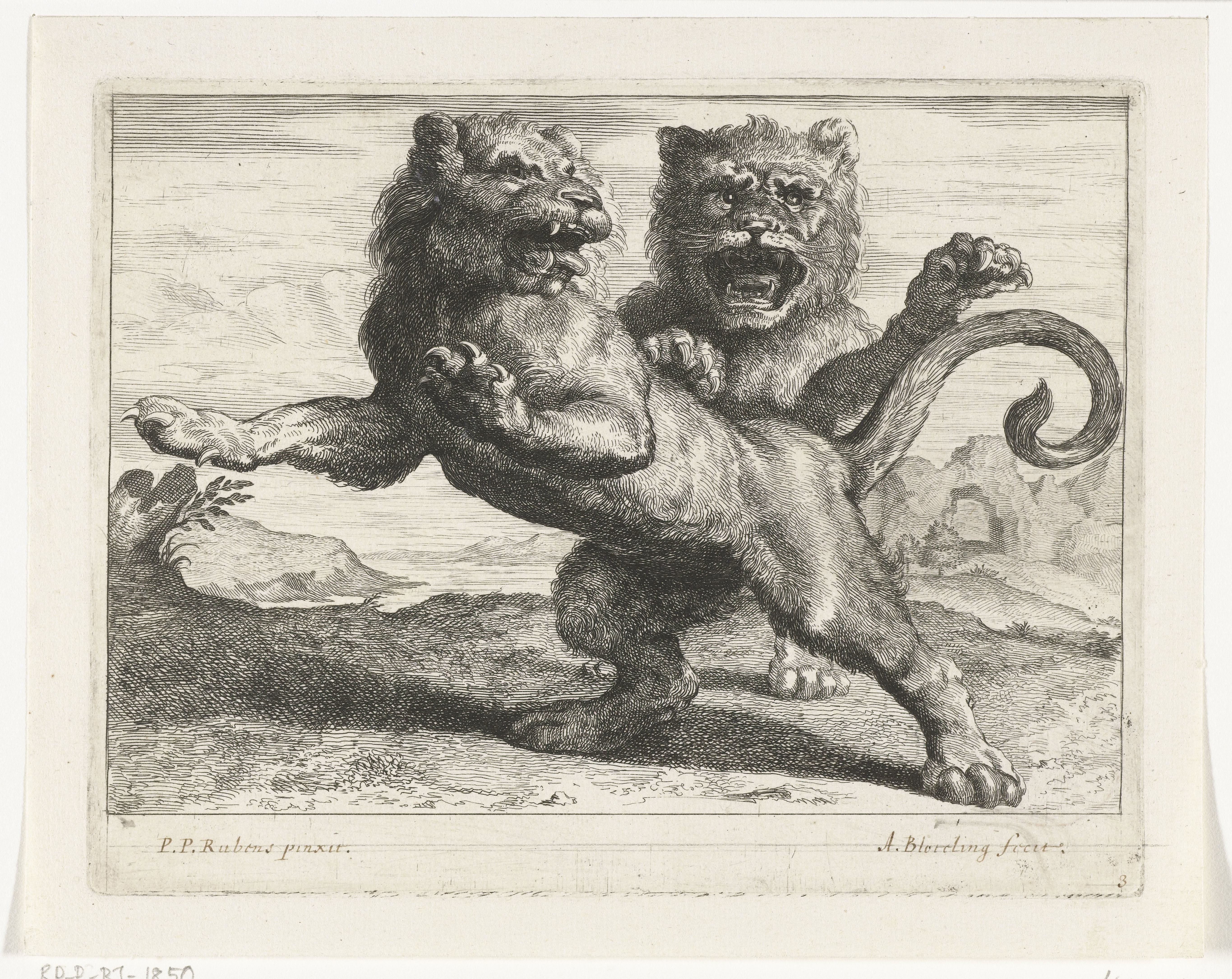 Twee brullende leeuwen by Abraham Bloteling