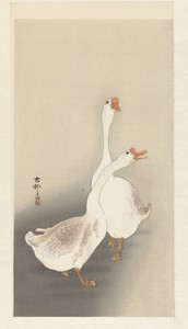 Twee ganzen