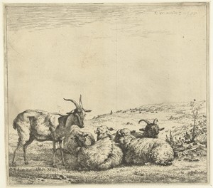 Twee geiten en drie schapen