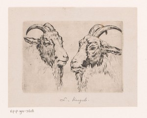 Twee geitenkoppen