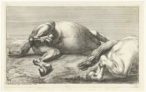 Twee gesneuvelde paarden waarvan de rechter van de zijkant gezien