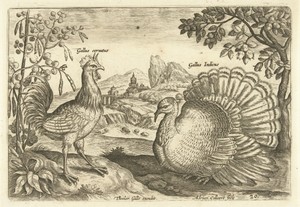 Twee hoenderen in een landschap