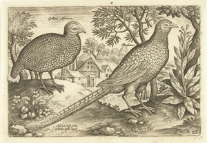Twee hoenders in een landschap