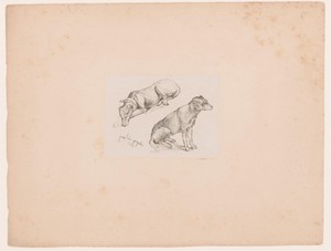 Twee honden
