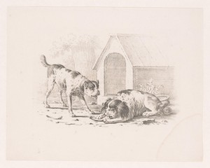 Twee honden bij een hondenhok