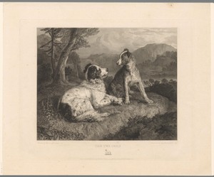 Twee honden in een landschap