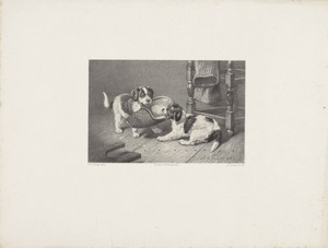 Twee jonge honden vechten om een pantoffel