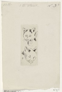 Twee katten koppen
