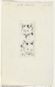 Twee katten koppen